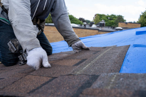 Quick and Trustworthy Emergency Roof Repair Services in Robertsdale, AL