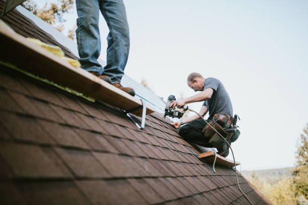 Best Metal Roofing Contractor  in Robertsde, AL